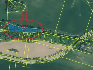 Prodej lesa, Třebohostice, 2163 m2