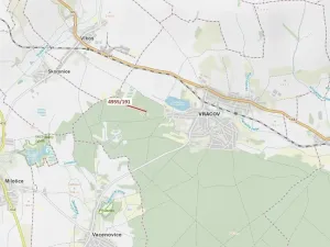 Dražba lesa, Vracov, 1174 m2