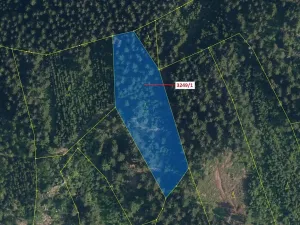 Dražba lesa, Velké Hamry, 5995 m2