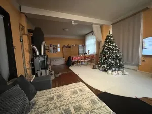 Prodej vícegeneračního domu, Teplice, Skupova, 600 m2