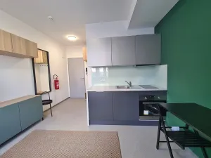 Pronájem bytu 1+kk, Brno, Dominikánské náměstí, 20 m2