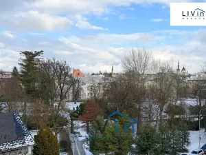 Pronájem kanceláře, Olomouc, Karolíny Světlé, 28 m2