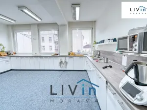 Pronájem kanceláře, Olomouc, Karolíny Světlé, 20 m2