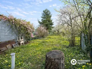 Prodej rodinného domu, Nová Ves, 53 m2