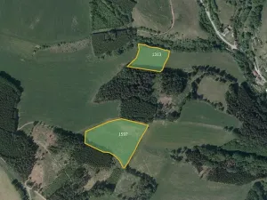 Prodej louky, Vidochov, 28075 m2