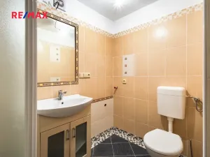 Prodej rodinného domu, Čenkovice, 175 m2