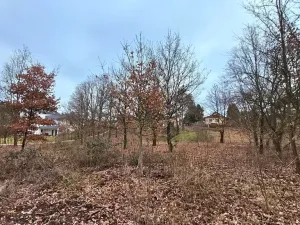 Prodej pozemku pro bydlení, Hradištko, Naděje, 1653 m2