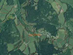 Prodej pozemku, Čachrov - Javorná, 10377 m2