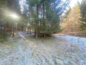 Prodej pozemku, Čachrov - Javorná, 2391 m2