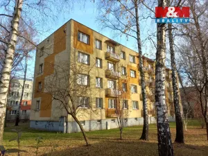 Pronájem bytu 2+1, Český Těšín, U Mlékárny, 52 m2