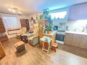 Prodej rodinného domu, Zastávka, Kopečky, 190 m2