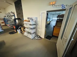 Prodej obchodního prostoru, Bystřice pod Hostýnem, Holešovská, 3567 m2