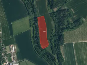 Prodej pole, Soběslavice, 57788 m2