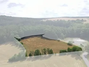 Prodej pole, Nečtiny, 17446 m2