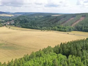 Prodej pole, Nečtiny, 45332 m2