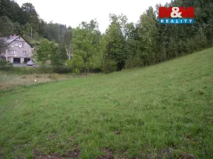 Prodej louky, Janův Důl, 2749 m2