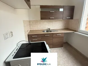 Pronájem bytu 3+1, Krupka, Karla Čapka, 75 m2