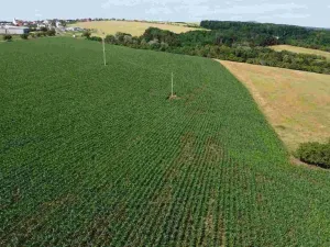 Prodej pozemku, Dobrkovice, 30313 m2