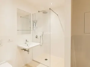 Pronájem bytu 2+kk, Praha - Josefov, Maiselova, 99 m2