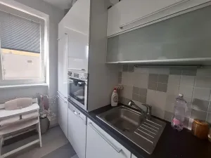 Prodej bytu 2+1, Brno, Purkyňova, 60 m2