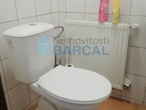 Prodej rodinného domu, Vestec, K Rybníku, 330 m2