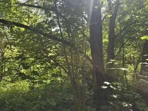 Dražba pozemku, Klášterec nad Ohří, 22680 m2