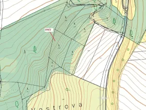 Dražba lesa, Jenišovice, 2305 m2