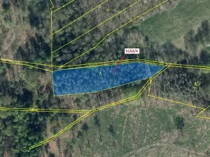 Dražba lesa, Mikulášovice, 3638 m2