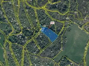 Dražba lesa, Zubrnice, 4610 m2