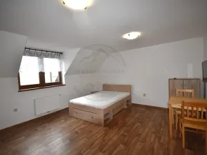 Pronájem bytu 1+kk, Bělá pod Pradědem, 29 m2
