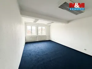 Pronájem kanceláře, Praha - Josefov, Břehová, 23 m2