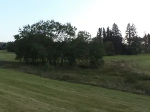 Prodej pole, Čistá u Horek, 14711 m2