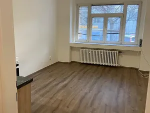 Pronájem bytu 1+kk, Praha - Libeň, Čihákova, 30 m2