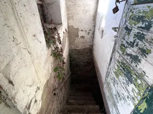 Prodej zemědělského objektu, Křižanovice u Vyškova, 5144 m2