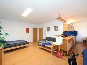 Prodej bytu 2+kk, Praha - Žižkov, Pod lipami, 61 m2
