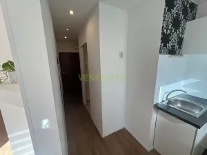 Pronájem bytu 1+kk, Praha - Modřany, Rodopská, 30 m2