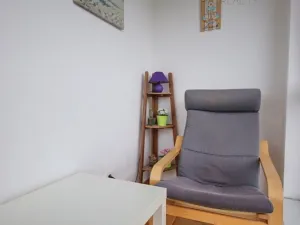 Prodej bytu 2+kk, Plzeň - Skvrňany, Waltrova, 90 m2