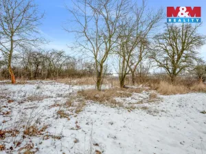 Prodej zahrady, Pchery, 1621 m2