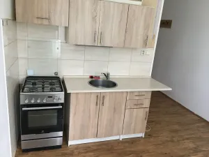 Pronájem bytu 1+1, Žatec, Volyňských Čechů, 38 m2