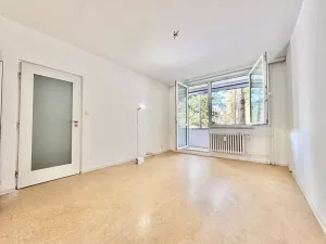 Prodej bytu 2+1, Brno, Záhřebská, 50 m2