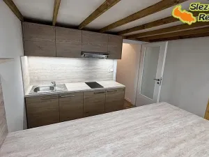 Pronájem bytu 1+kk, Ostrava, Palackého, 26 m2