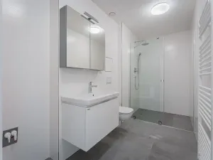 Pronájem bytu 2+kk, Praha - Žižkov, Seifertova, 41 m2