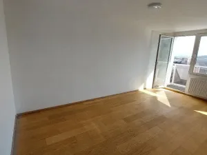 Pronájem bytu 1+1, Most, Josefa Suka, 40 m2