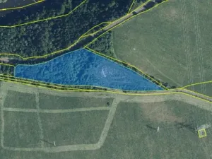 Prodej komerčního pozemku, Rokle, 55145 m2