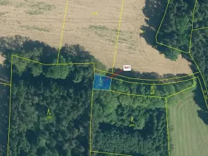 Dražba lesa, Nezdřev, 126 m2