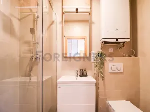 Pronájem bytu 1+kk, Brno, Cyrilská, 23 m2