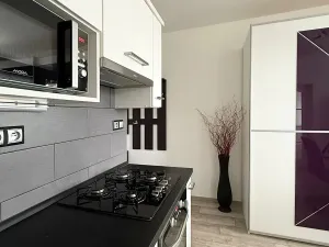 Pronájem bytu 1+1, Chomutov, Kundratická, 33 m2