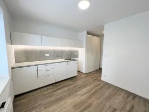 Pronájem bytu 1+kk, Brno, Hády, 18 m2