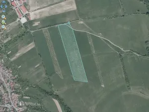 Pronájem sadu/vinice, Komňa, 50600 m2