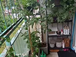 Prodej bytu 3+1, Praha - Hlubočepy, Lamačova, 63 m2